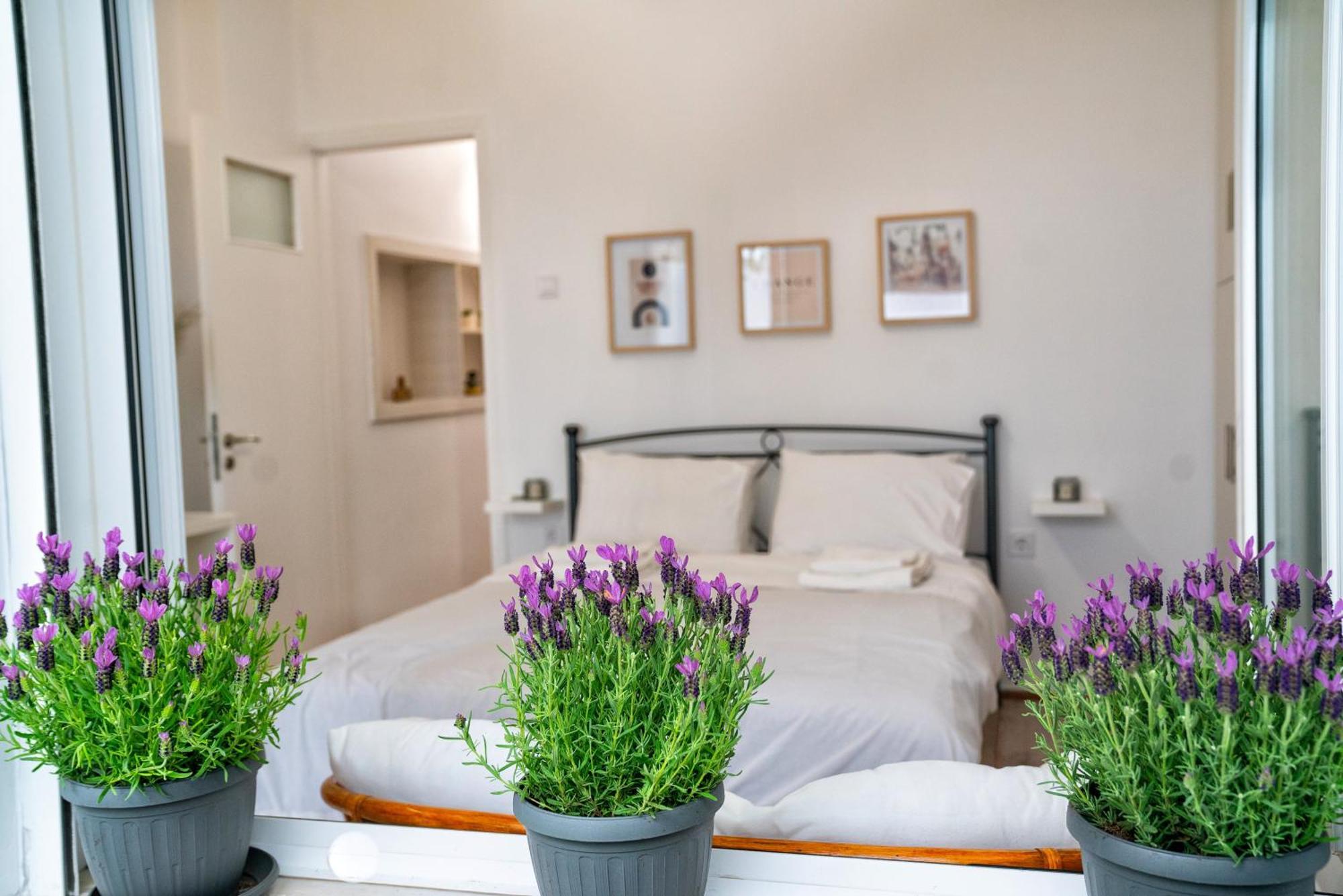 Lux Garden Apartment Near Acropolis In The Heart Of Athènes Extérieur photo
